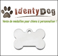 Médaille gravée pour chien : Identydog