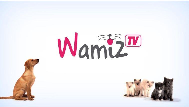 wamiz-tv