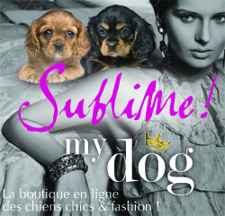 Vêtement pour chien - Sublimemydog