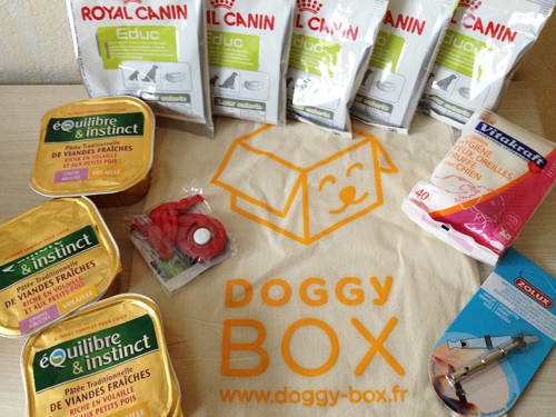 La-Doggy-Box-Octobre