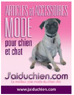 logo de la boutique jaiduchien