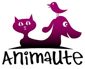 Animaute : site Pet Sitting