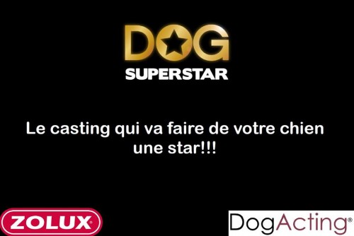 Le casting Dog SuperStar
