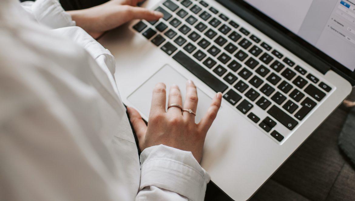 Blog canin dédié aux chihuahuas